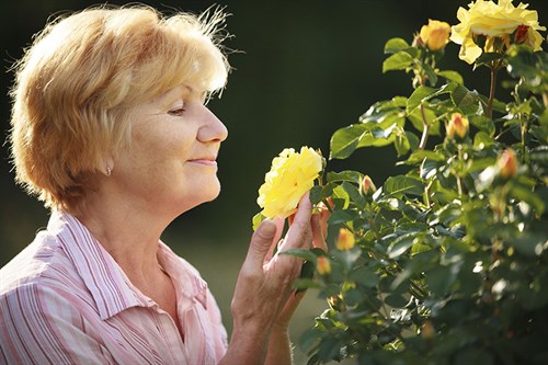 Senior Sense Smell This